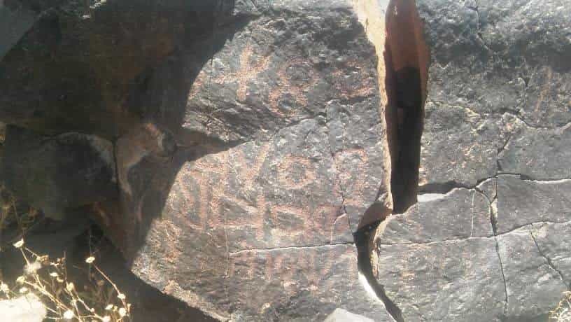 الشرعي موكل 12